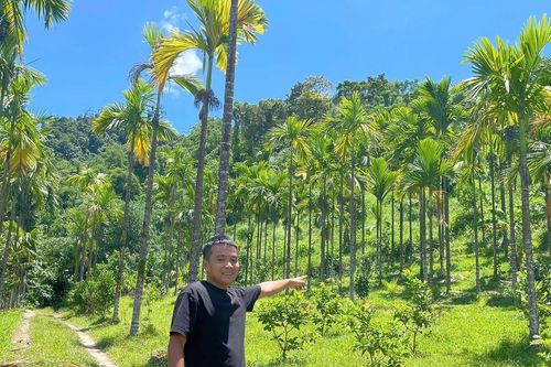 Người dân Nam Trà My biến đồi 'cây lười' thành vườn tiền tỷ