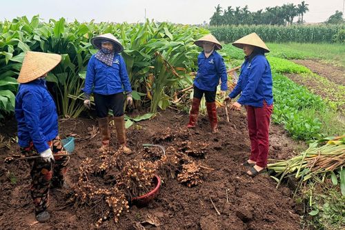 7,2 triệu người có việc làm, vì sao sinh kế vẫn mong manh?