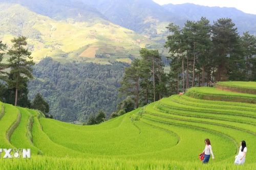 Chiêm ngưỡng vẻ đẹp ruộng bậc thang vùng cao Mù Cang Chải