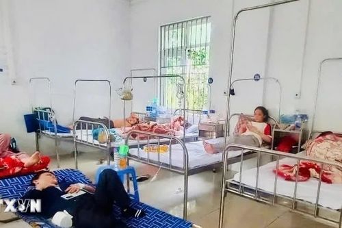 Gia Lai: Xác định Salmonella là tác nhân gây ngộ độc tại cơ sở bánh mỳ ở An Khê