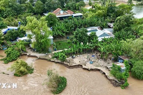An Giang: Sạt lở nghiêm trọng bờ sông Hậu trên xã đảo Mỹ Hòa Hưng