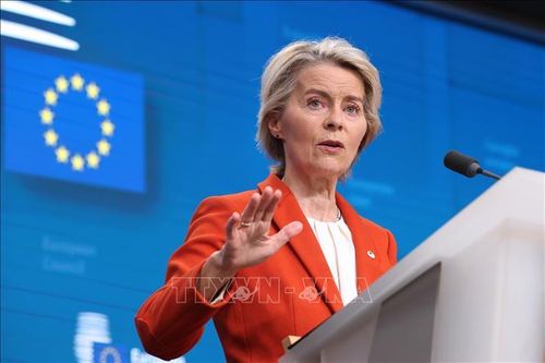 EU củng cố vai trò tại Bắc Cực, khẳng định sự ủng hộ dành cho Greenland