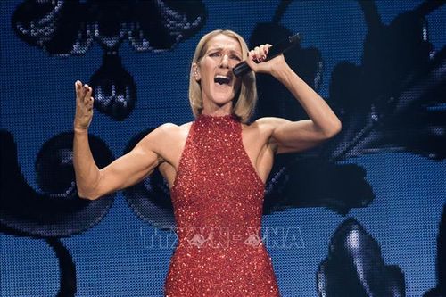 Celine Dion tái xuất, Paris cảnh báo vé giả