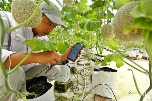 Mở rộng dư địa hợp tác nông nghiệp công nghệ cao Việt Nam - Thái Lan