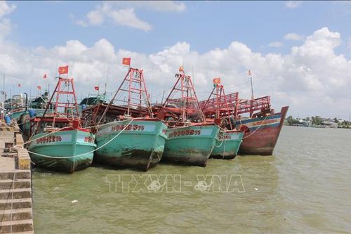 Khắc phục 'thẻ vàng' IUU: Số hóa dữ liệu, siết chặt quản lý tàu cá