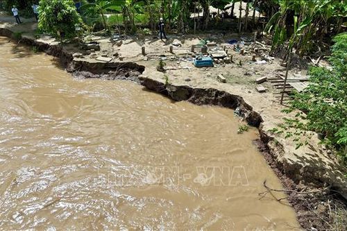 An Giang: Sạt lở nghiêm trọng bờ sông Hậu trên xã đảo Mỹ Hoà Hưng