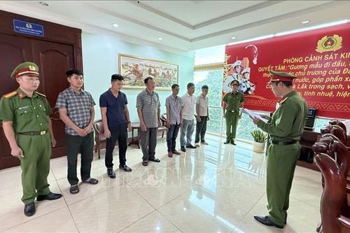 Khởi tố 10 đối tượng để điều tra, làm rõ hành vi đưa, nhận hối lộ, khai thác lâm sản trái phép