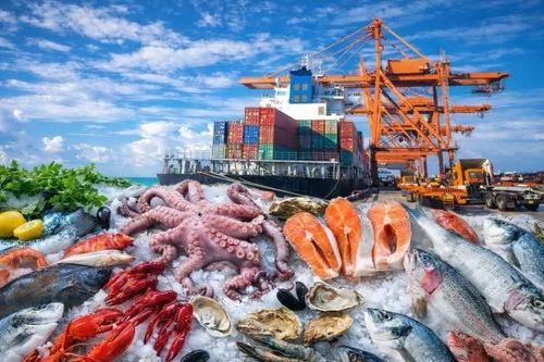 Vượt mốc 8 tỷ USD, thủy sản Việt vẫn lo áp lực từ Mỹ và EU