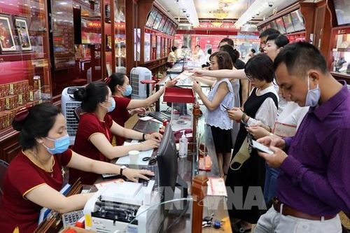 Giá vàng hôm nay 7/9: Vàng SJC đảo chiều đi xuống