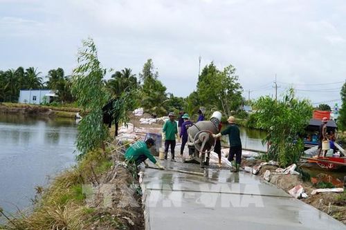 Cà Mau cần hơn 14.000 tỷ đồng hoàn thiện giao thông nông thôn