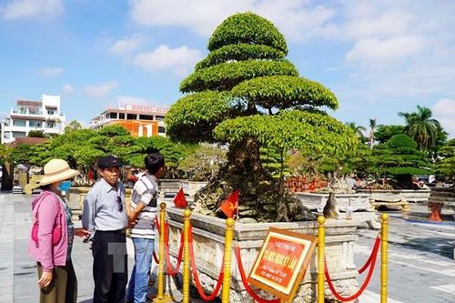 'Xanh quê ngày trở về' - Nơi hội tụ những tác phẩm sinh vật cảnh độc đáo