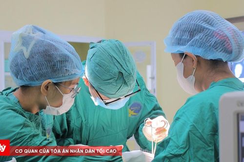Tông chó thả rông, người đàn ông nhập viện