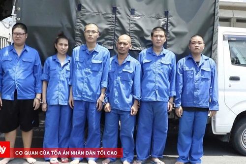 Khởi tố đường dây làm 'xe ngân'