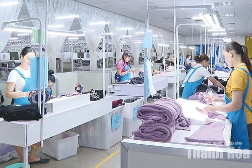Hỗ trợ doanh nghiệp thực thi các FTA, mở rộng cánh cửa xuất khẩu