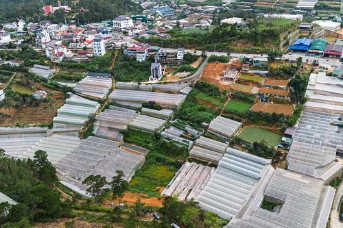 Lâm Đồng đẩy mạnh quy hoạch 5 phường ở Đà Lạt, hướng tới đô thị thông minh và bền vững