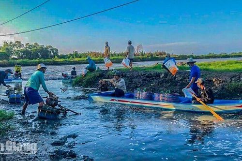 Một ngày vào mùa tôm càng xanh