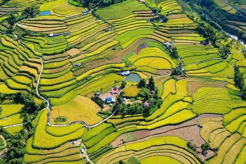 Ngày hội "Mùa vàng Tả Lèng" ở Lai Châu