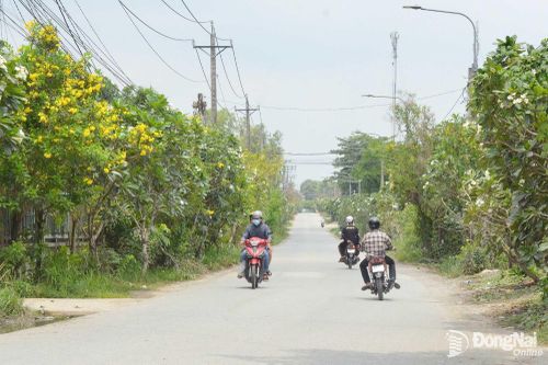 Tính toán đồng bộ quy mô tuyến đường kết nối cầu Tân Hiền