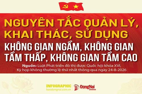 [Infographic] Nguyên tắc quản lý, khai thác, sử dụng không gian ngầm, không gian tầm thấp, không gian tầm cao cụ thể ra sao?