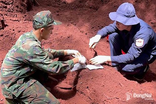 Tìm kiếm thêm 4 hài cốt liệt sĩ tại khu vực phường Lộc Ninh