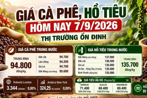 Giá cà phê, hồ tiêu hôm nay 7/9: Thị trường đồng loạt đi ngang