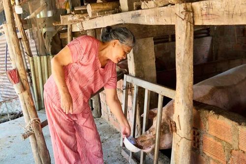 Nối dài hồi sinh sau thiên tai