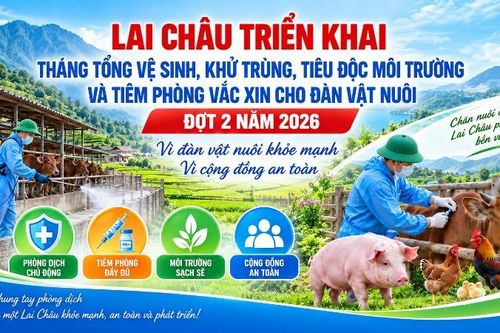 Lai Châu triển khai Tháng tổng vệ sinh, khử trùng, tiêu độc môi trường và tiêm phòng vắc xin cho đàn vật nuôi đợt 2 năm 2026