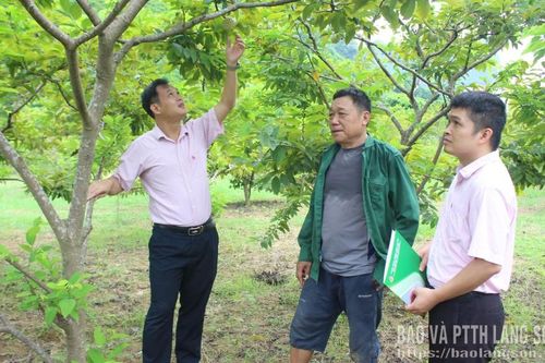 Hành lang pháp lý cho tín dụng chính sách
