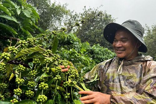 Khi người trẻ đổi cách làm trên đất quê hương