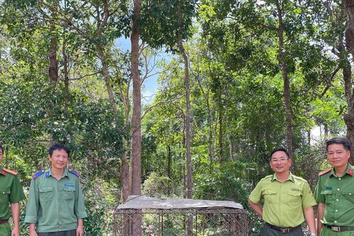 Tân Thành phối hợp thả 1 cá thể khỉ đuôi dài quý hiếm về tự nhiên