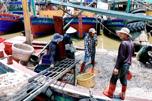 Các xã ven biển: Năng động đưa nghị quyết vào cuộc sống