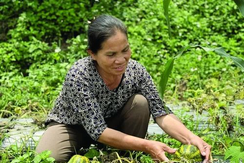 “Chìa khóa” giảm nghèo ở Mường Động