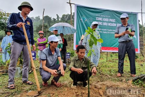 Trồng cây bản địa nơi đầu nguồn sông Gianh