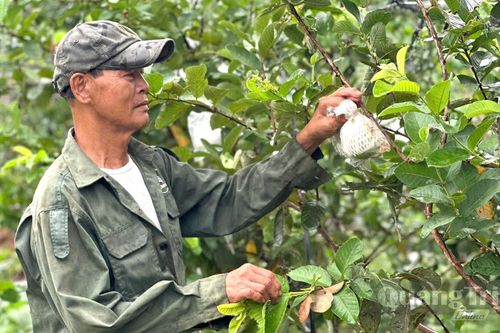 Khơi dậy khát vọng thoát nghèo