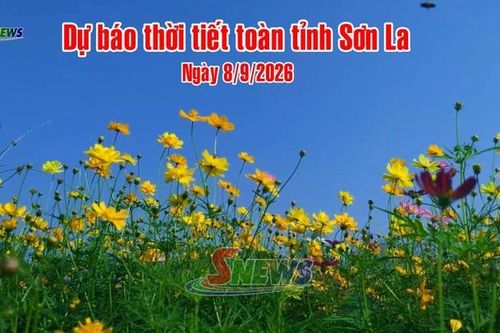 Dự báo thời tiết toàn tỉnh Sơn La ngày 8/9/2026