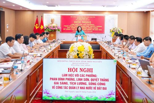 Rà soát, tháo gỡ vướng mắc trong quản lý đất đai