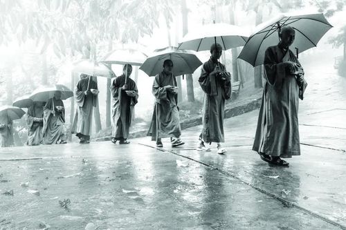 Chiều tóc trắng