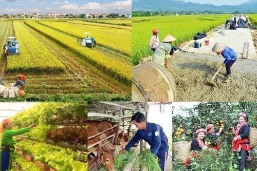 Giải ngân vốn các chương trình mục tiêu quốc gia còn chậm