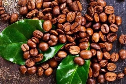 Ngày 7/9: Giá cà phê đảo chiều giảm, hồ tiêu neo ở mức cao