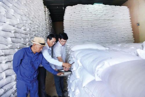 Cục Dự trữ Nhà nước bán đấu giá hơn 128.000 tấn gạo dự trữ quốc gia