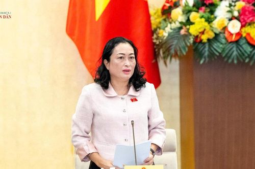 Chương trình mục tiêu quốc gia phát triển văn hóa - xã hội, nông thôn, dân tộc và miền núi giai đoạn 2026 - 2035: Hoàn thiện đồng bộ cơ chế ngay từ đầu