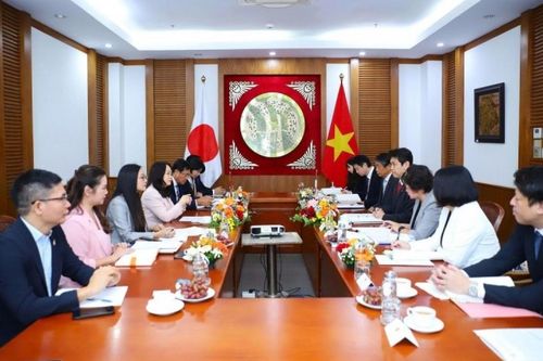 Việt Nam - Nhật Bản trao đổi hợp tác về văn hoá, thể thao, bản quyền