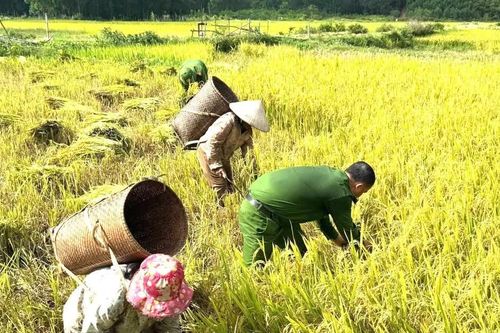 Công an xã miền núi ở Huế lan tỏa 'Ba nhất' từ những việc làm bình dị