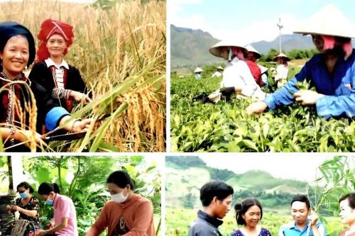 Tại sao giải ngân vốn các chương trình mục tiêu quốc gia tiếp tục chậm?