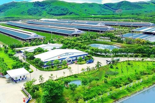 Chuyển đổi xanh để nâng cao sức cạnh tranh của doanh nghiệp