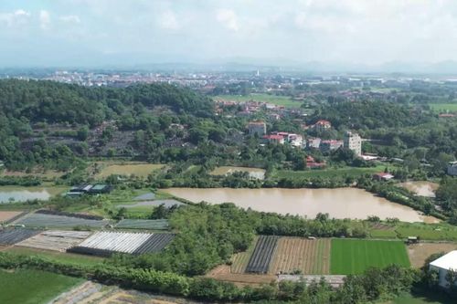 Quy hoạch sông Hồng: 265ha phục vụ tái định cư tại chỗ