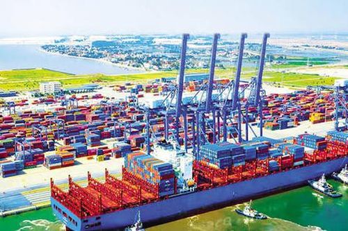 Chi hơn 44 tỷ đồng trả cổ tức, công ty logistics thuộc Tân Cảng Sài Gòn (IST) lập kỷ lục 5 năm