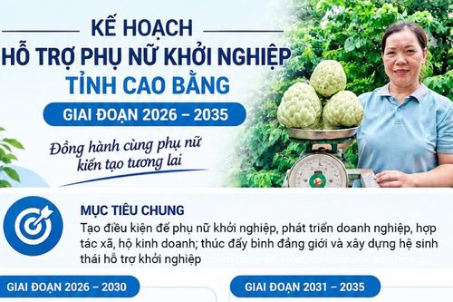 Hỗ trợ phụ nữ khởi nghiệp, thúc đẩy chuyển đổi số, chuyển đổi xanh và phát triển kinh doanh bền vững
