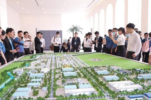 Môi giới bất động sản không có chứng chỉ hành nghề bị phạt đến 60 triệu đồng