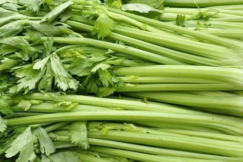Vì sao cần tây có lợi cho người muốn kiểm soát huyết áp?